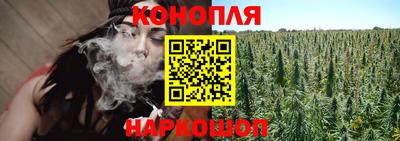 сатива Канаш