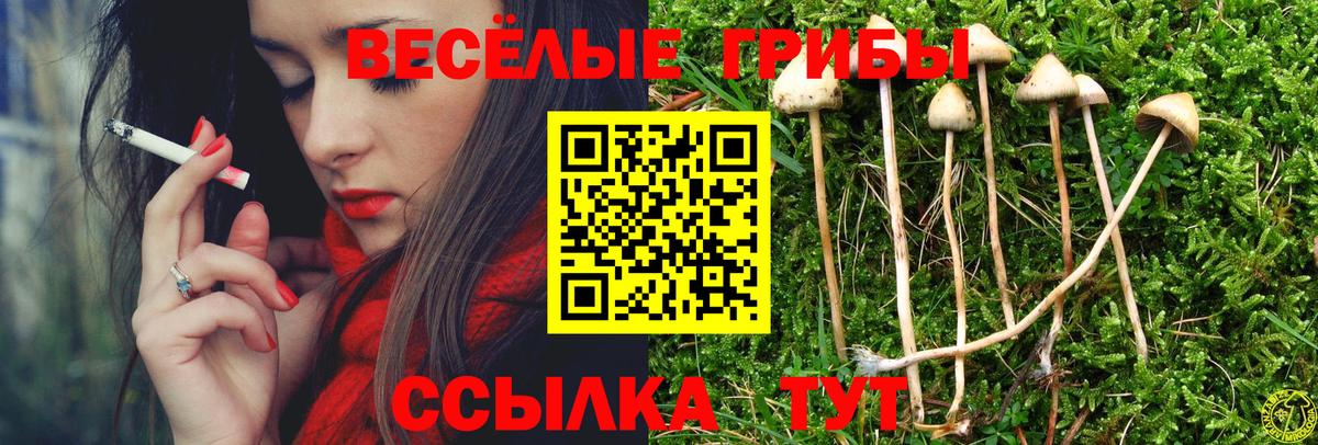 Псилоцибиновые грибы прущие грибы Зерноград