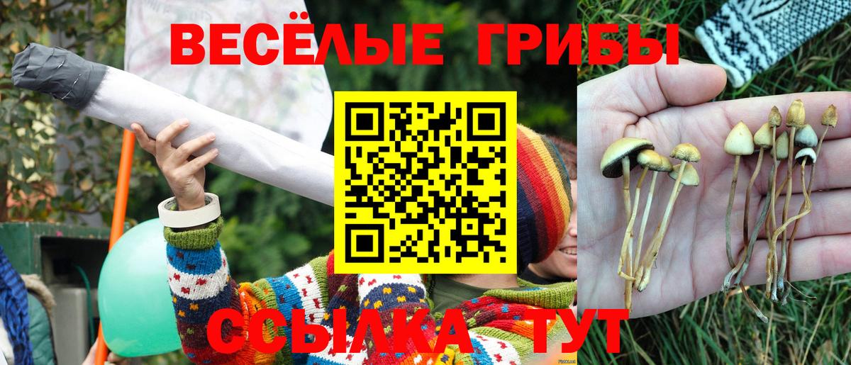 Галлюциногенные грибы Psilocybe  Псилоцибиновые грибы Cubensis  Вход с VPN  Зерноград 